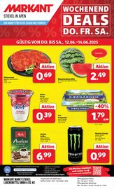 Markant Markt Prospekt woche 24 Seite 12