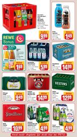 REWE PETZ Prospekt woche 24 Seite 16