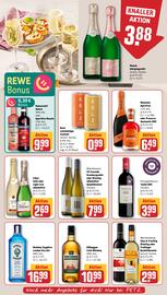 REWE PETZ Prospekt woche 24 Seite 17