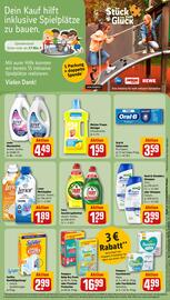 REWE PETZ Prospekt woche 24 Seite 21