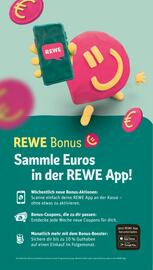 REWE PETZ Prospekt woche 24 Seite 3