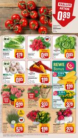 REWE PETZ Prospekt woche 24 Seite 7