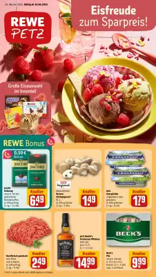 REWE PETZ Prospekt (gültig bis 14-06)