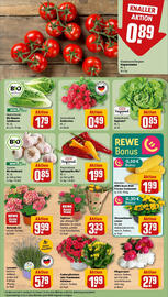 REWE Prospekt woche 24 Seite 7