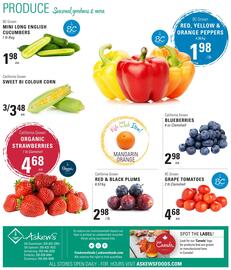 Askews Foods flyer Page 12