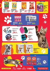 Catálogo Supermercados Mateus semana 23 Página 2