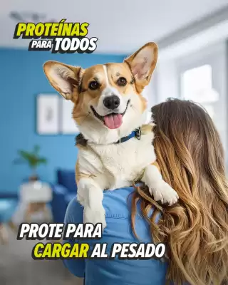 Catálogo GNC