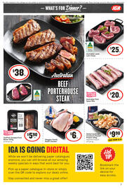 IGA catalogue week 24 Page 8