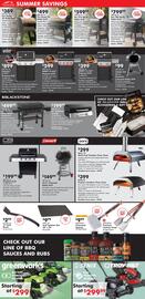 Valu Home Centers Weekly Ad week 24 Page 5