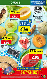 Lidl gazetka Strona 13