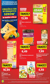 Lidl gazetka Strona 42