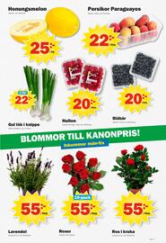Pekås reklamblad vecka 24 Sida 7