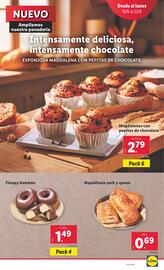 Folleto Lidl semana 25 Página 11