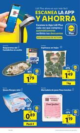 Folleto Lidl semana 25 Página 16