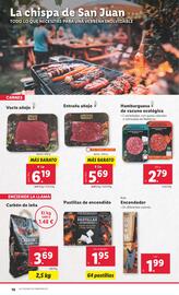 Folleto Lidl semana 25 Página 20