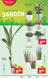 Folleto Lidl semana 25 Página 28