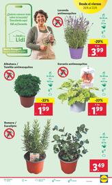 Folleto Lidl semana 25 Página 29