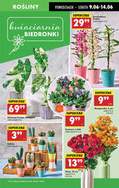 Biedronka gazetka tydzień 24 Strona 19