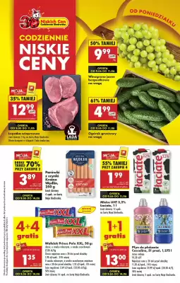 Biedronka gazetka
