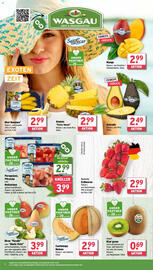 Wasgau Prospekt Seite 8