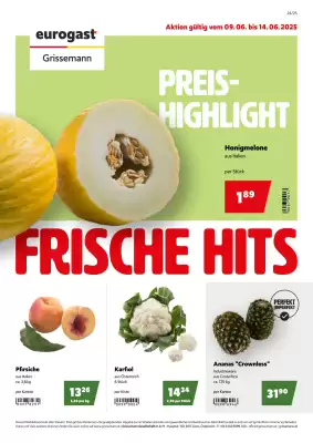 Eurogast Grissemann Flugblatt (gültig bis 14-06)