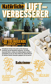 Hornbach Prospekt Seite 22
