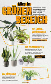 Hornbach Prospekt Seite 24