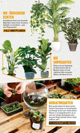 Hornbach Prospekt Seite 25