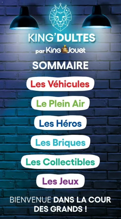 Catalogue Maxi Toys (valable jusqu'au 16-06)