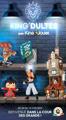 Catalogue Maxi Toys