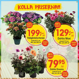 EKO reklamblad vecka 24 Sida 1