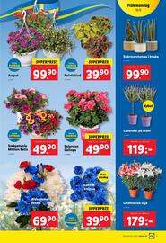 Lidl reklamblad vecka 25 Sida 19