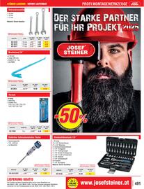 Josef Steiner Flugblatt Seite 491