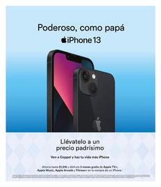 Catálogo Coppel Página 19