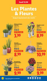 Catalogue Lidl semaine 24 page 28