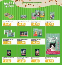 Volantino Futura Supermercati Pagina 22