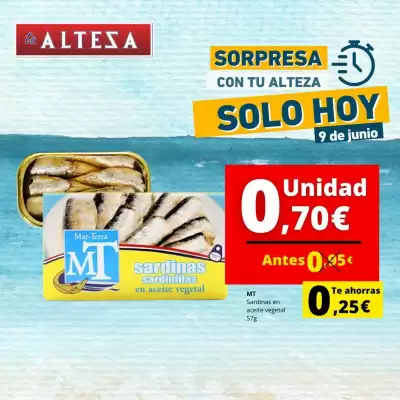 Folleto Supermercados Tu Alteza (válido hasta el 9-06)