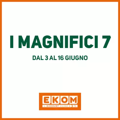 Volantino Ekom (valido fino al 16-06)