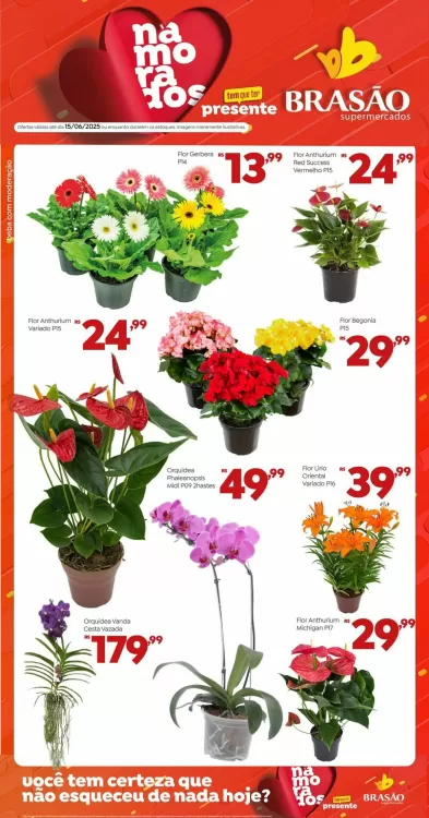 Catálogo Brasão Supermercados (válido até 15-06)