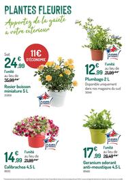 Catalogue Botanic page 4