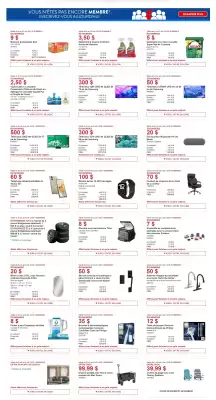 Costco flyer (valid until 22-06)