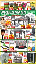 Wreesmann Prospekt woche 24 Seite 1