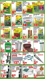 Wreesmann Prospekt woche 24 Seite 2
