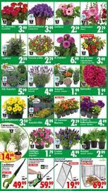 Wreesmann Prospekt woche 24 Seite 3