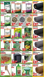 Wreesmann Prospekt woche 24 Seite 4