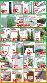 Wreesmann Prospekt woche 24 Seite 6