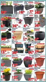 Wreesmann Prospekt woche 24 Seite 7