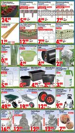 Wreesmann Prospekt woche 24 Seite 8