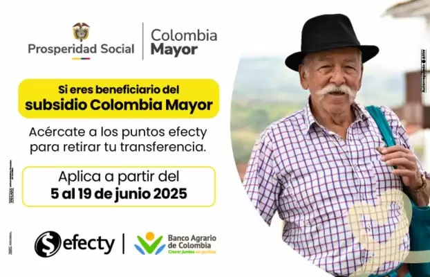 Catálogo Efecty (válido hasta 19-06)