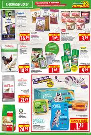 Herkules Baumarkt Prospekt woche 24 Seite 15